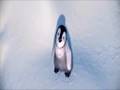 Happy Feet- Learn to Fly