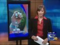 Seasonal Flu Vaccine Shortage
