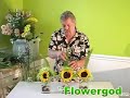 Less Is More Arrangement EP#52