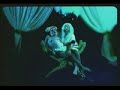 columbia / sony music entertainment