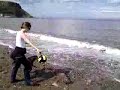 Fernie swimming at Runswick Bay