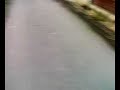 Search Video