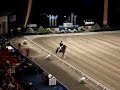 Jan Brink- Briar, Stockholm International Horse Show Jan Brink- Briar, Stockholm International Horse Show