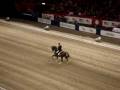 Jan Brink- Briar, Stockholm International Horse Show