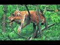 cute animals 3