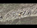 Просмотр видео