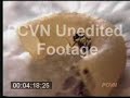 ant footage ant footage