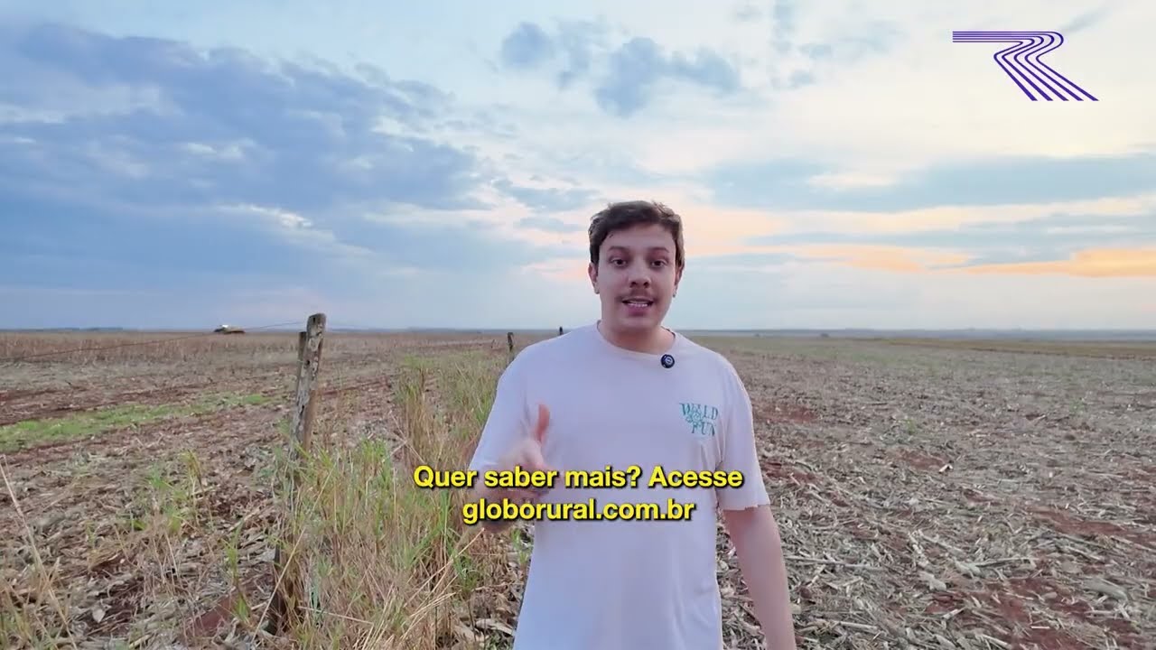 Chuva atrasa plantio da soja em Goiás | Globo Rural