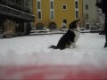 Paco, hiver 2O1O