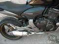 HORNET NOVA PONTEIRA ORIGINAL COM RONCO ESPORTIVO