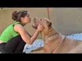 PISS PIPE & VALTREX - EPISODE 1 - SEASON2 PISS PIPE & VALTREX - EPISODE 1 - SEASON2