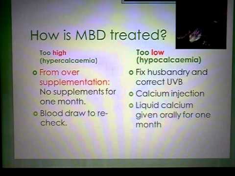 how to cure mbd in iguanas