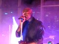 clip video Seal 