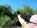 EVERGLADES 2006