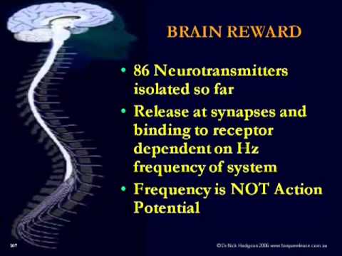 how to become intelligent