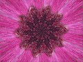 'Abdu'l-Bahá - The Glance of Destiny