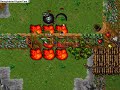 Tibia titania pk