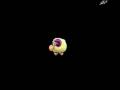 videos de mi ovejita lucera
