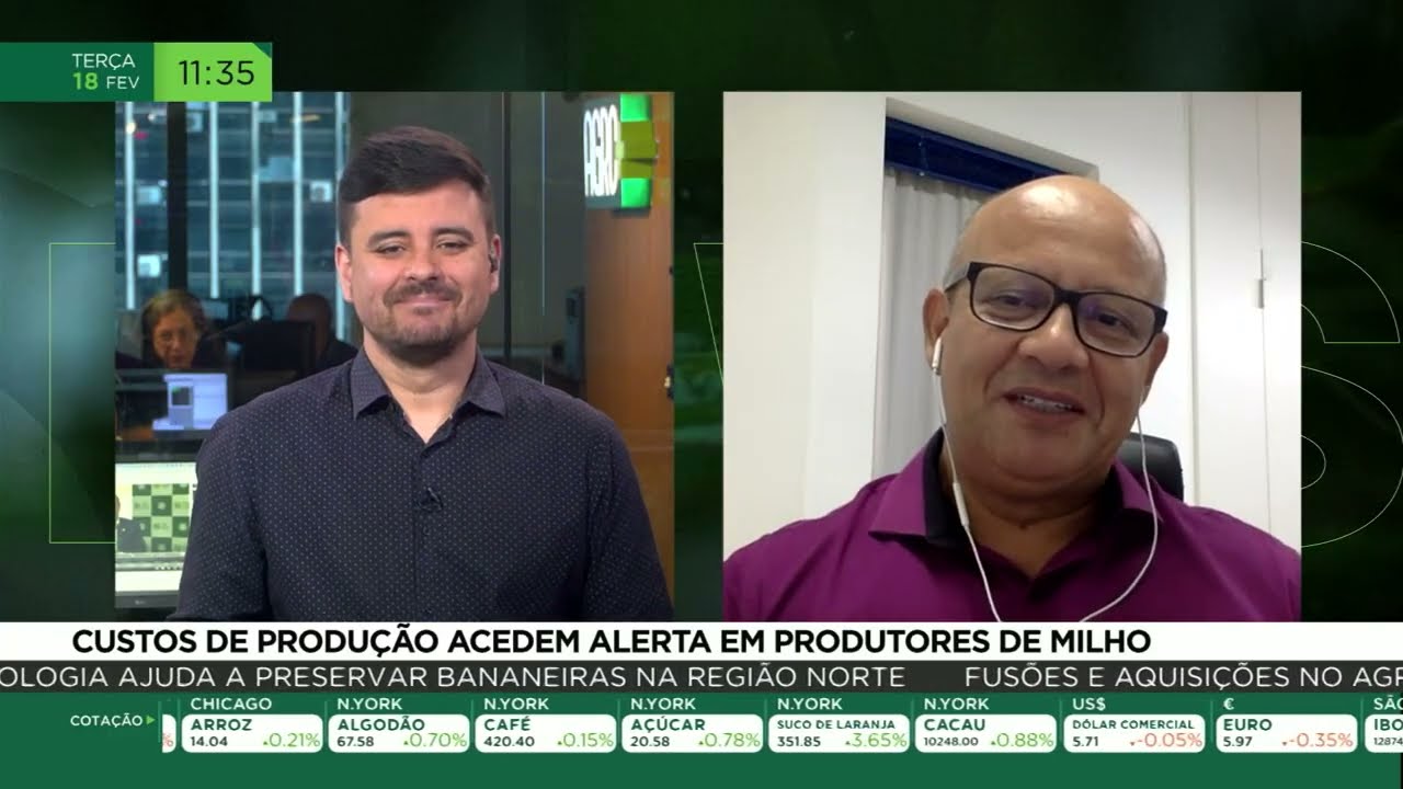 Custos de produção do milho acendem alerta para avicultores