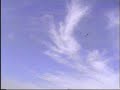 E-flite P-47 Thunderbolt
