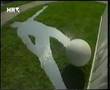 Lipik Streetball Tribute: Drazen Petrovic