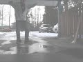 Beast c-walk