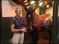 Paardensport - Portret: Imke Bartels