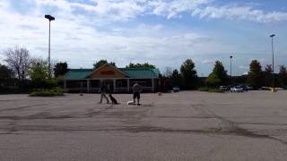 Chicago Dog Training Practicing Obedience Commands in Parking Lot Suburban K9