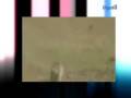 videos de MAGHREB CANAL 92 : LE ZOO-PARLEMENT ALGERIEN & REVISION DE LA CONSTITUTION !!!