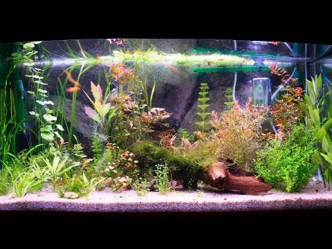 how to unclog an aquarium filter