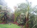 My usually well sheltered garden