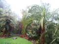 My usually well sheltered garden