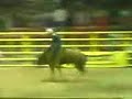 MONTAS 8 SEGUNDOS RODEO SANTA FE 230208