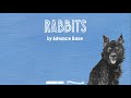 Advance Base - Rabbits tekst piosenki