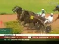 Quick Wood Prix du Louvre Bazire