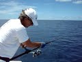 dog tooth tuna jigging dog tooth tuna jigging
