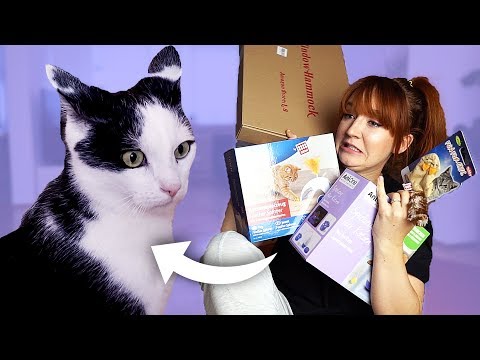 Ich teste Katzenspielzeug mit meinem Kater Jackson