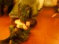 Slapped wit da soggy end... Annual 2k8.3GP