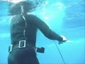 Spearfishing Puerto Rico Freedivers