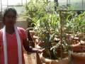 videos de Ecosan- Urine as a fertilizer -Telugu version