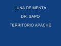 Luna de menta - Dr Sapo (buena calidad)