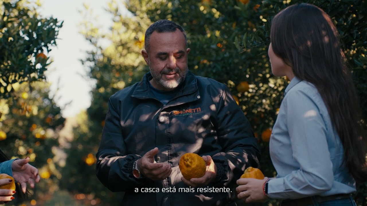 Inovação, nutrição eficiente e manejo. Confira a história da família Simonetti. 🍊