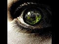 Kaisa - Keine Wärme feat. Joachim Deutschland Kaisa - Keine Wärme feat. Joachim Deutschland