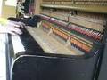 Efteling op de Piano - De Vliegende Hollander
