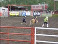 benalto pro rodeo steer riding benalto pro rodeo steer riding