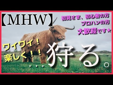 動画