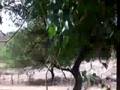 videos de me and my family at soyopa
