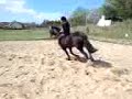 Jumping Beau Bareback 1