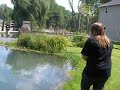 Alexa's Fish