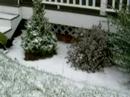 Briela's 1st Snowfall #1